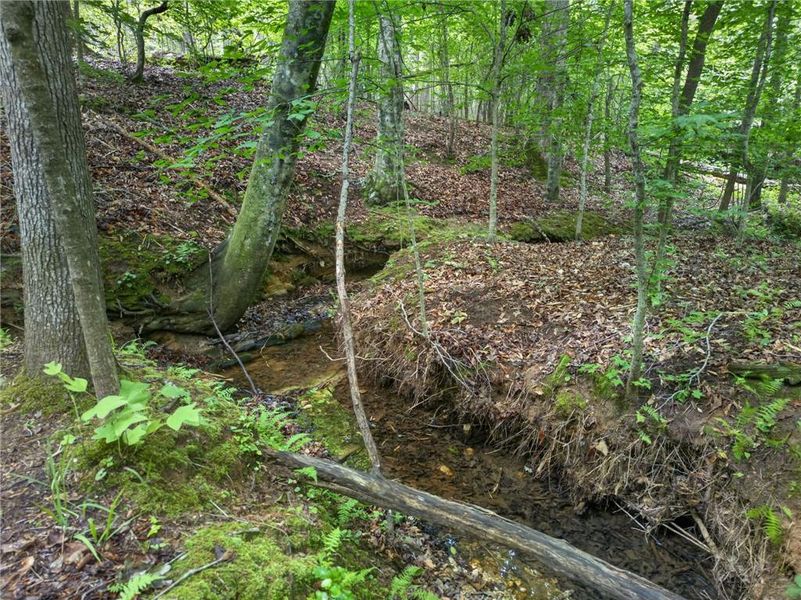 Natural landscape and outdoor views near  in Rockmart (Image 47).