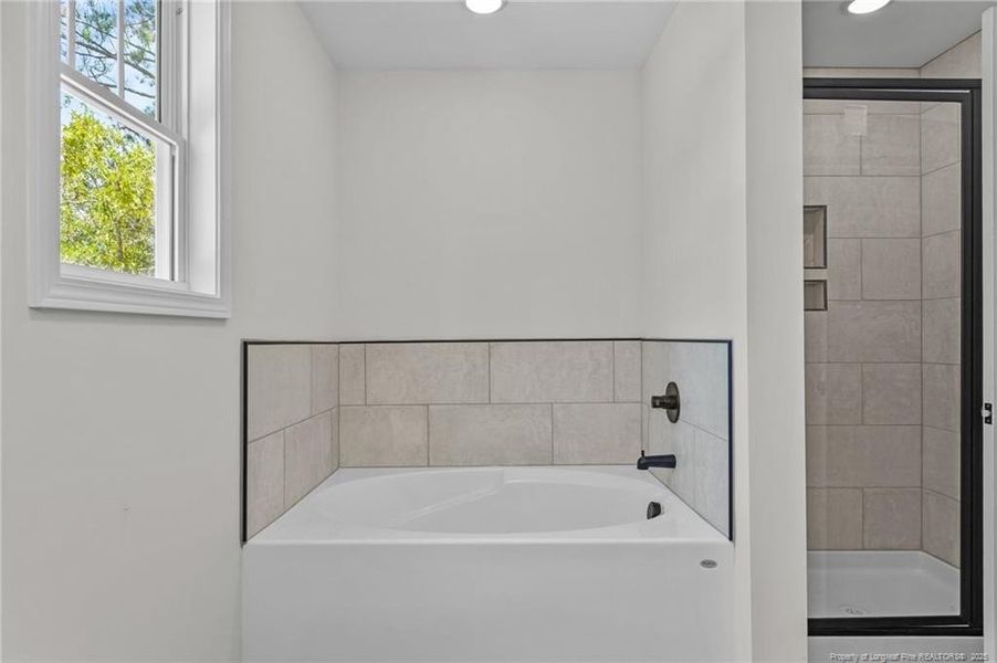 Garden tub, separate shower