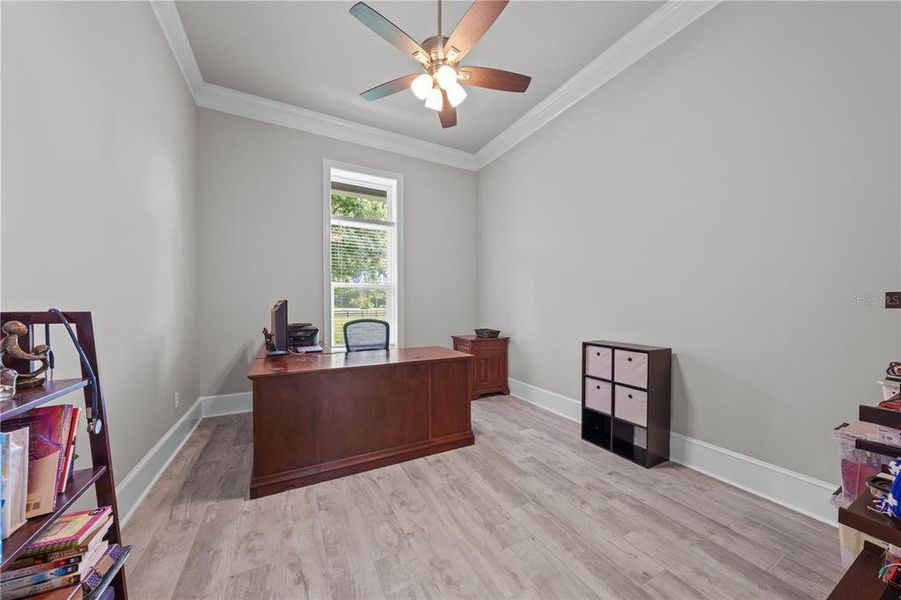 Furnished interior view inside a new home in , St. Cloud (Image 42).