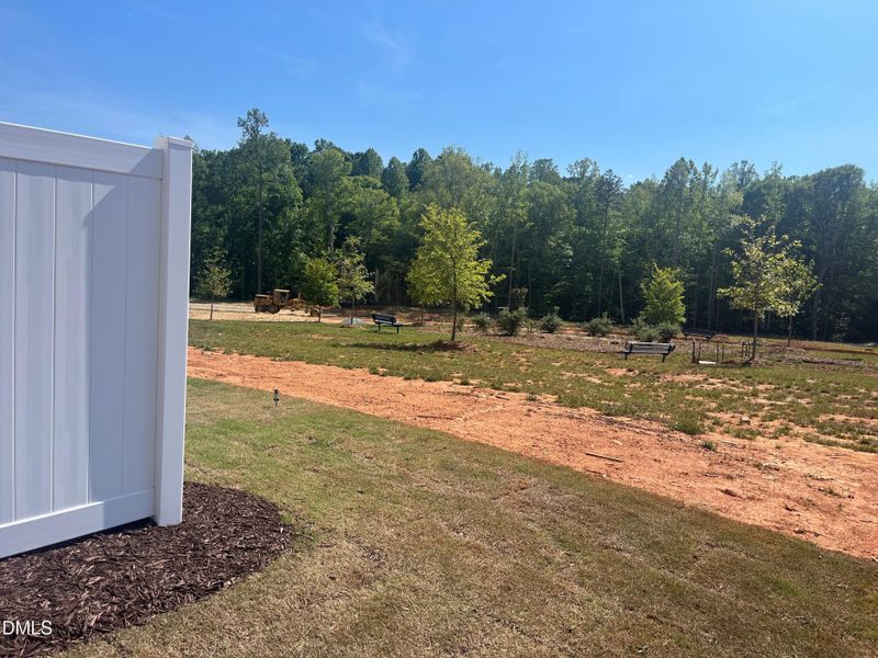 Rear views of tree buffer and dog park a