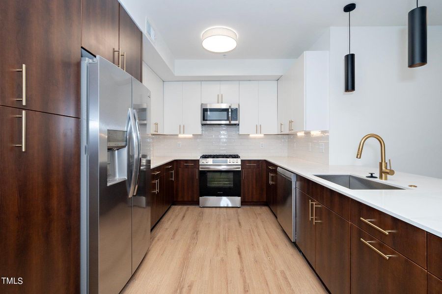 9-web-or-mls-615 W Peace St 306 (4 of 21