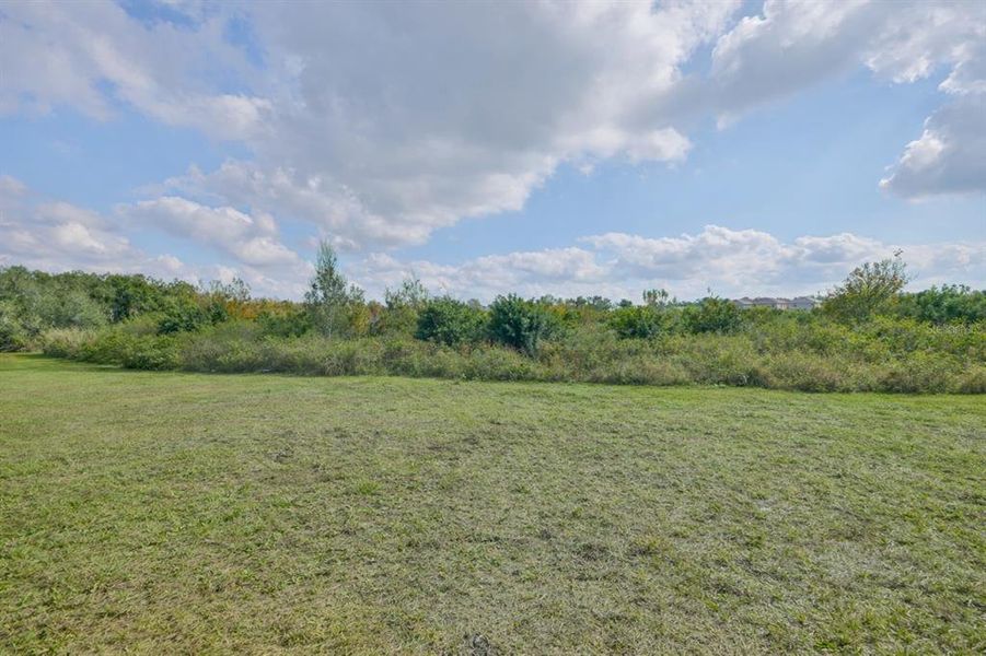 Natural landscape and outdoor views near Silverstone North in Palmetto (Image 39).
