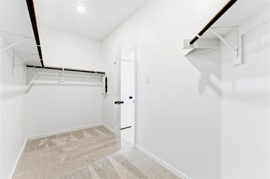 Spacious closet featuring light colored carpet