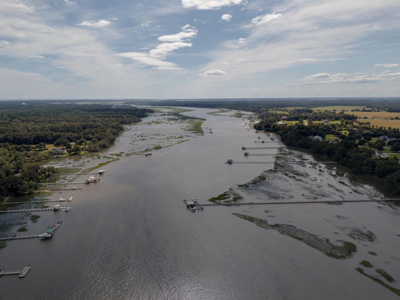 Natural landscape and outdoor views near in Wadmalaw Island (Image 16). Natural landscape and outdoor views near in Wadmalaw Island (Image 16).