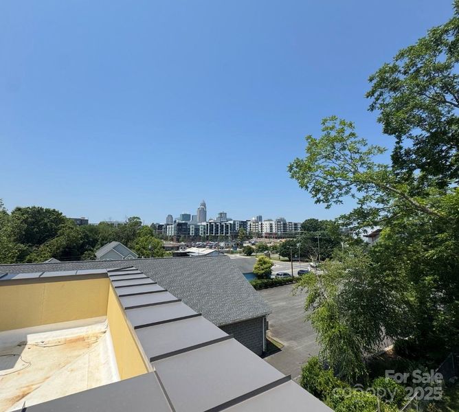 Rooftop Skyline view