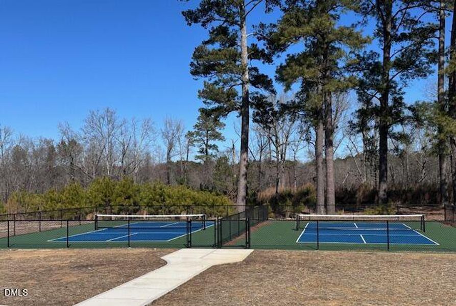 green Hill - pickle ball court green Hill - pickle ball court