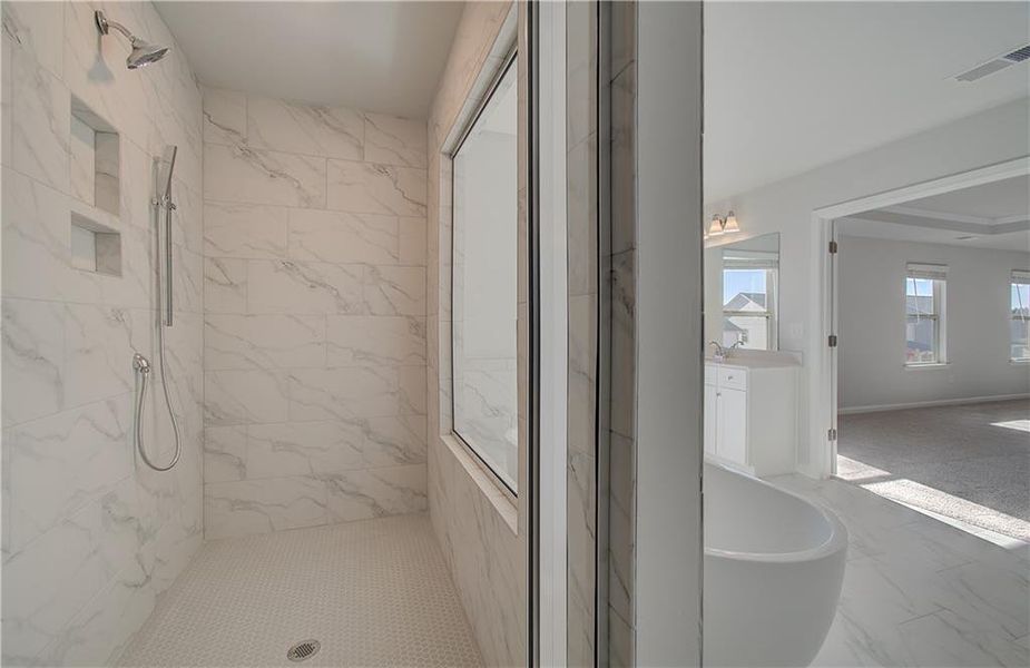 Image 37 of a home in Adagio.