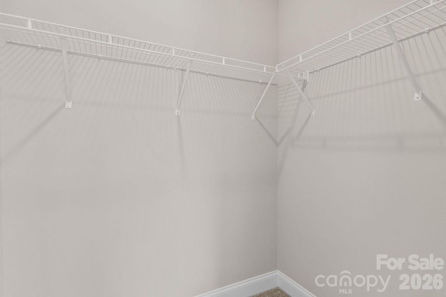 Representative Photo