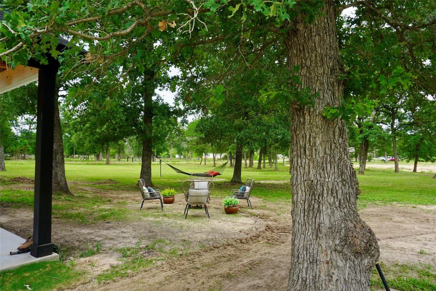 Natural landscape and outdoor views near  in Hempstead (Image 32).