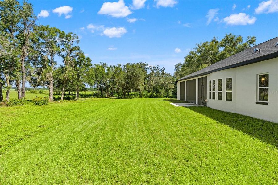 Exterior details and patio area of a home in , Lecanto (Image 34).