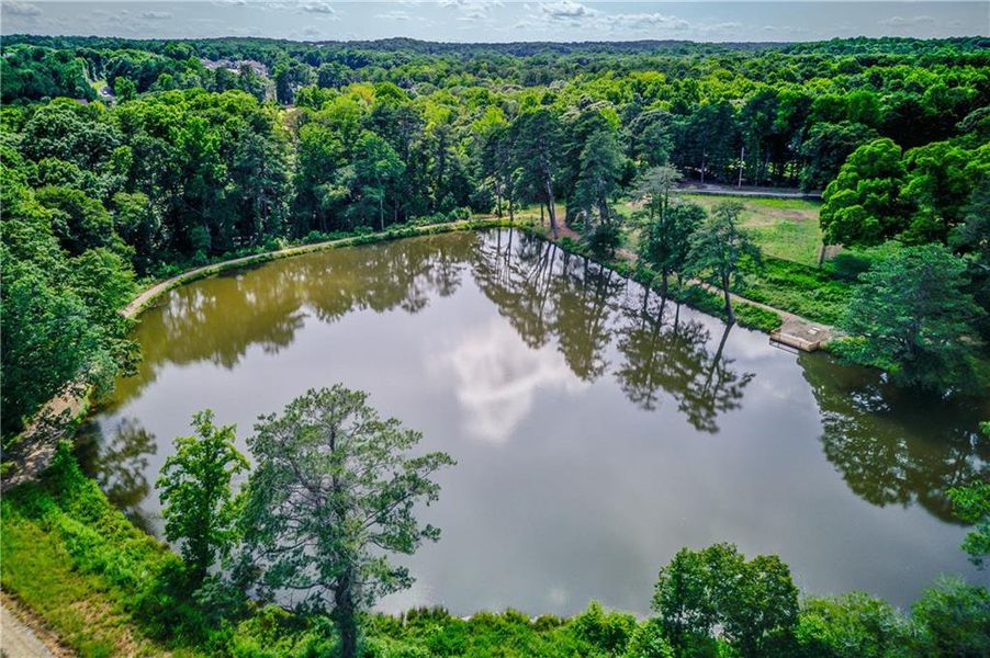 Natural landscape and outdoor views near  in Dacula (Image 27).