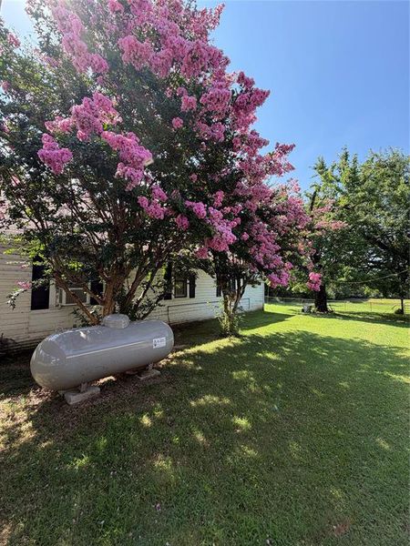 Natural landscape and outdoor views near  in Arthur City (Image 12).