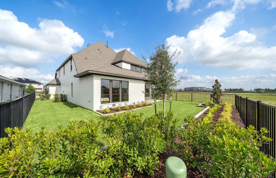 **Representative photo**