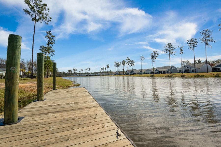 Natural landscape and outdoor views near Jasmine Point at Lakes of Cane Bay in Summerville (Image 51).