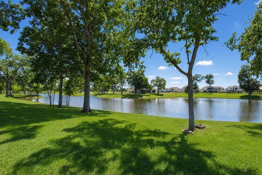 Sheffield Lake is beautifully shaded by a canopy of mature trees lining its banks, creating a serene and picturesque setting. The combination of tranquil water views and abundant natural shade makes it an ideal spot to relax, enjoy a picnic, or simply take in the beauty of the surrounding landscape.