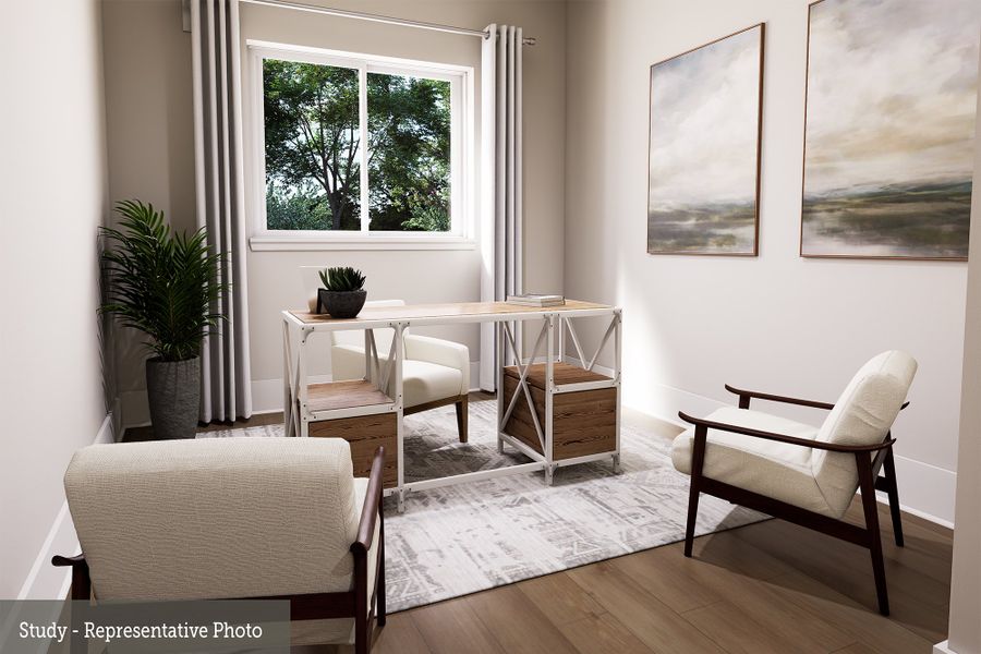 The Amaryllis - Study