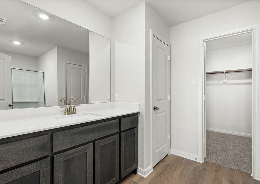 The master bathroom has a spacious vanity. The master bathroom has a spacious vanity.