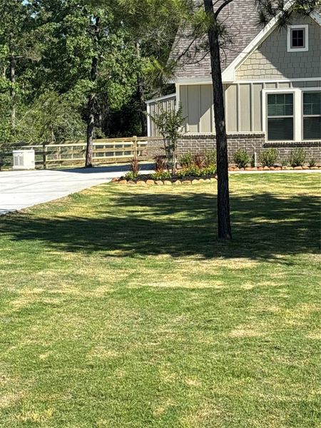 Driveway with fence