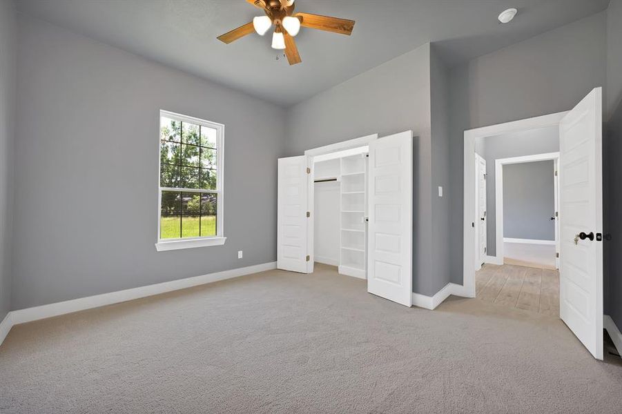 Carpeted room with a ceiling fan, a window, bifold closet doors revealing built-in shelving and hanging rod, and a doorway opening to a hallway with wood-finish flooring
