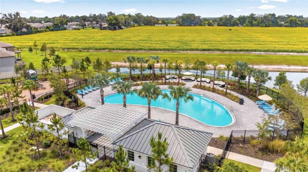 Community amenities in Park East, Plant City (Image 32). Community amenities in Park East, Plant City (Image 32).