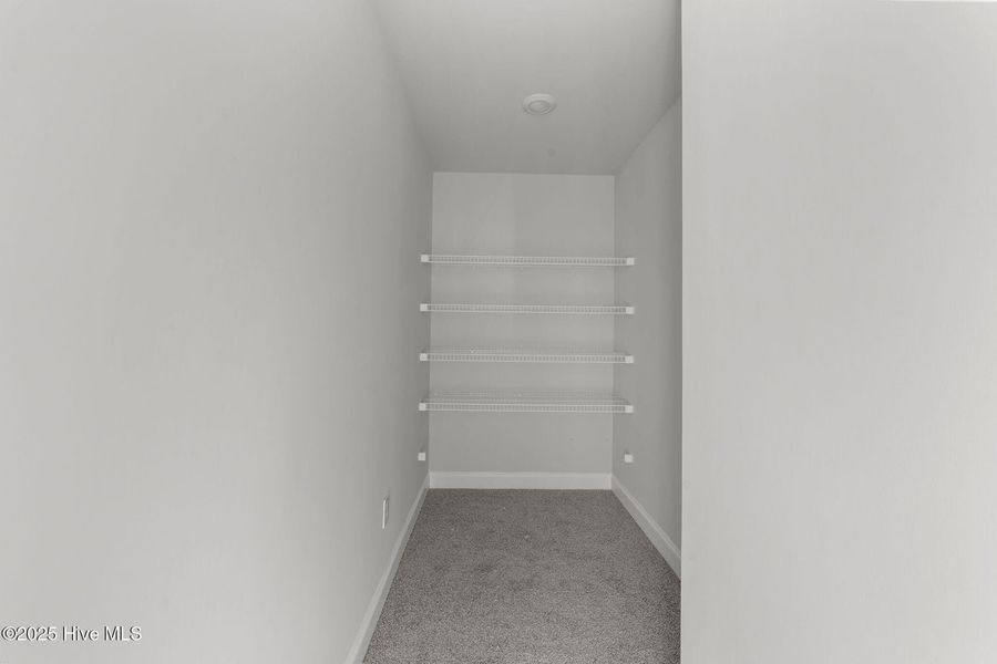 Spacious, unfurnished interior of a new home in Rutledge, Shallotte (Image 21).