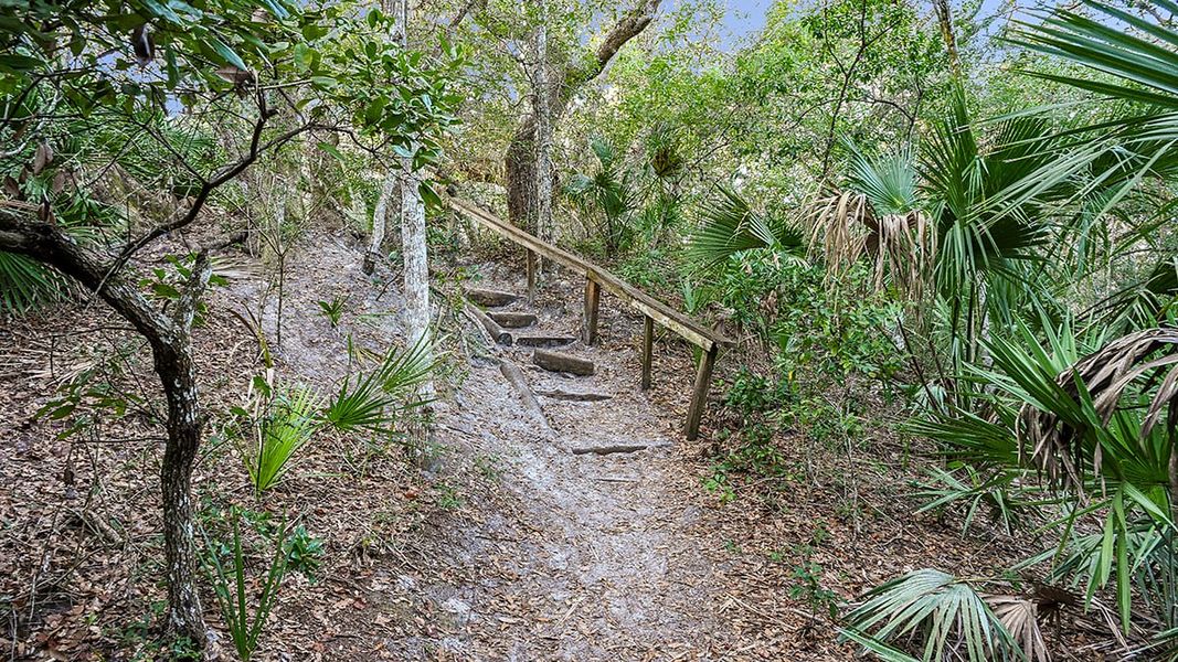 Natural landscape and outdoor views near Colbert Landings in Palm Coast (Image 69).