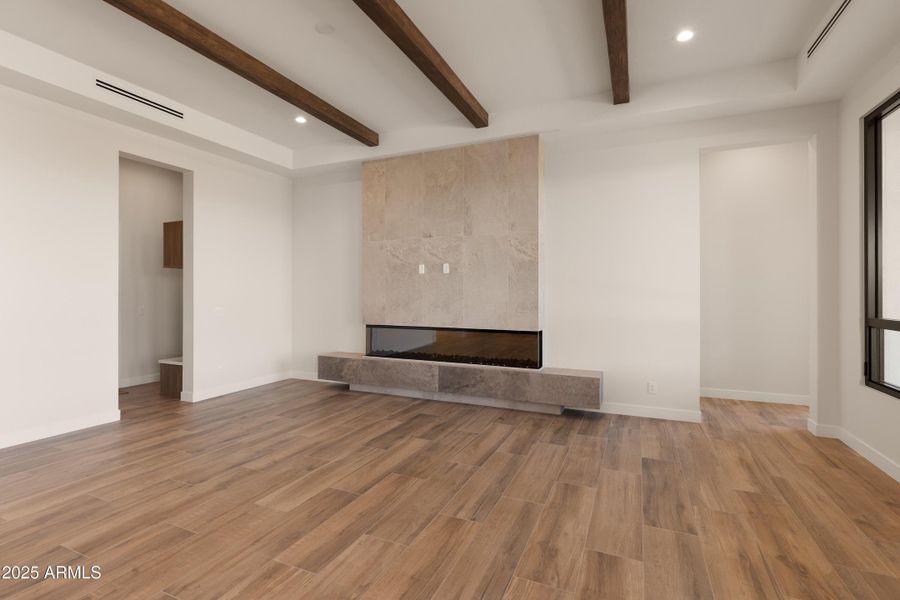 Contemporary Fireplace