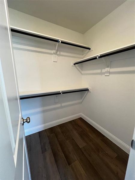 Walk in closet with dark hardwood / wood-style floors