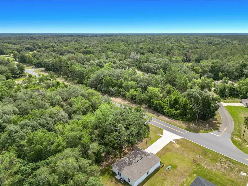 Natural landscape and outdoor views near The Collection at Ocklawaha in Ocklawaha (Image 43). Natural landscape and outdoor views near The Collection at Ocklawaha in Ocklawaha (Image 43).