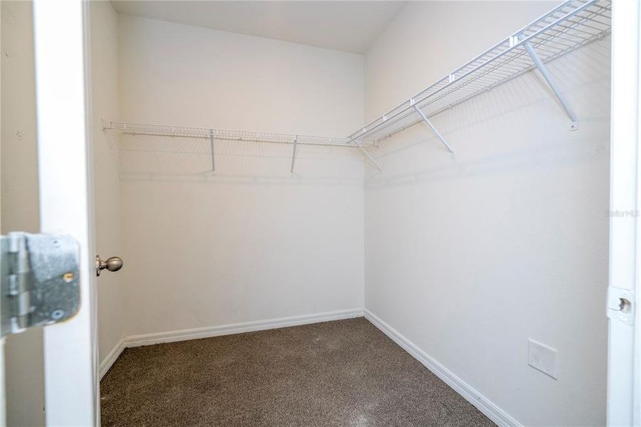 Spacious, unfurnished interior of a new home in Astonia, Davenport (Image 51).