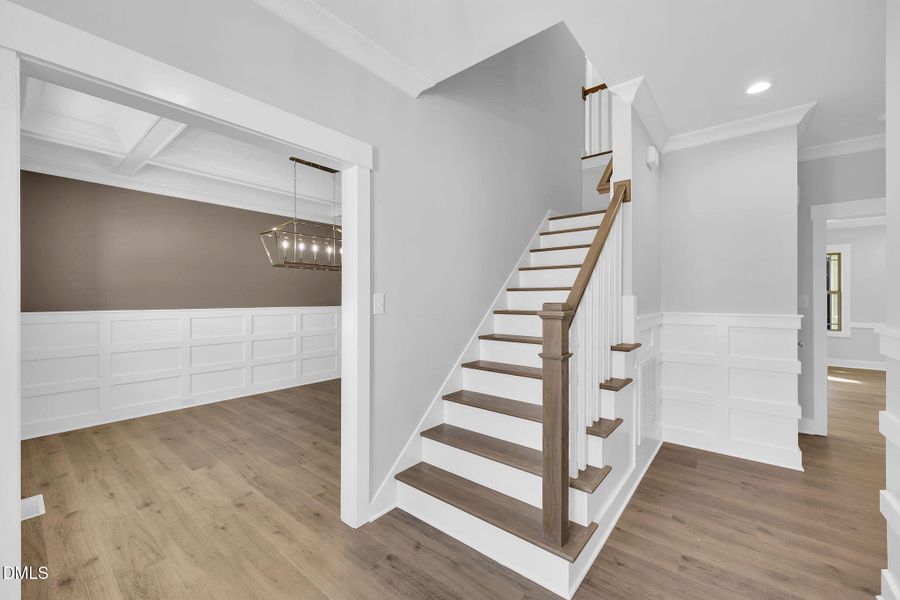 6-web-or-mls-9L1A1513