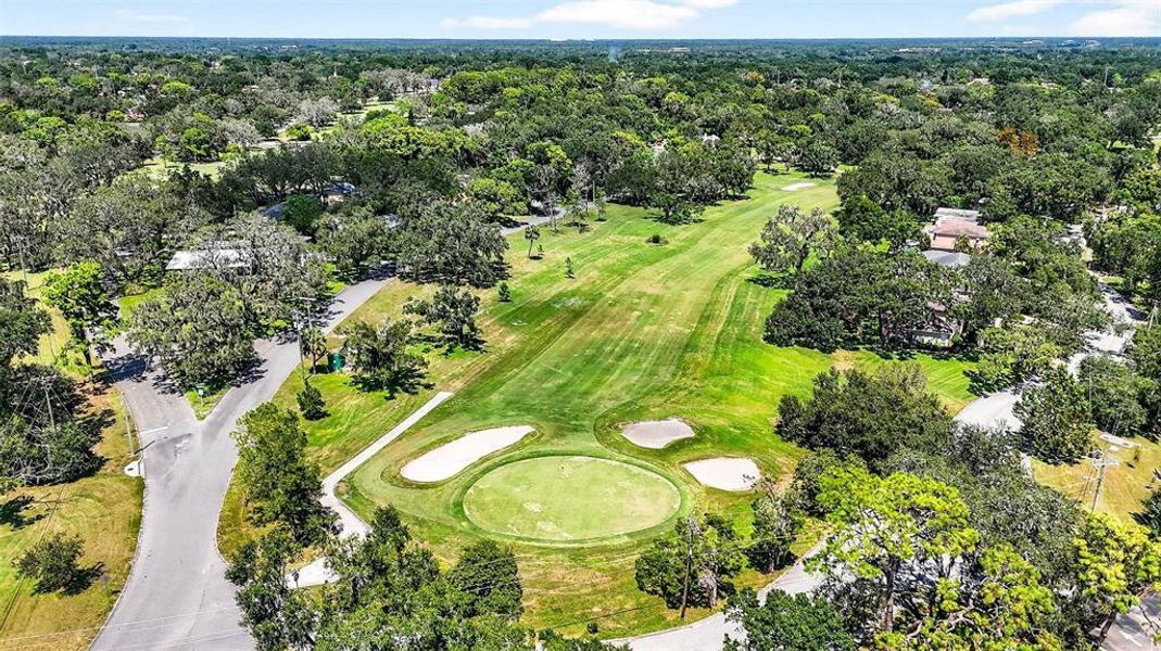 Natural landscape and outdoor views near in Temple Terrace (Image 59). Natural landscape and outdoor views near in Temple Terrace (Image 59).