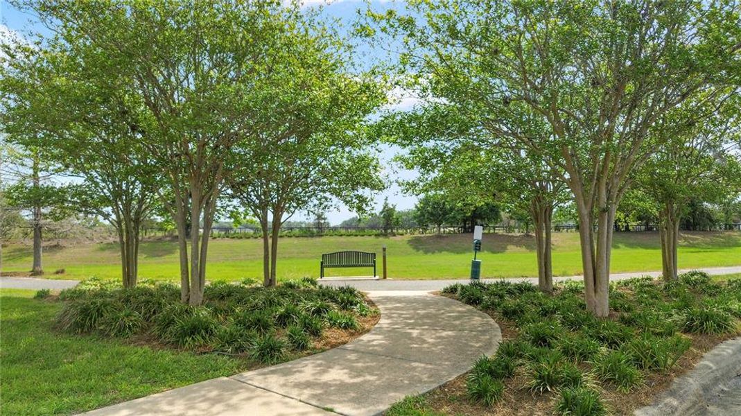 Natural landscape and outdoor views near  in Ocala (Image 56).