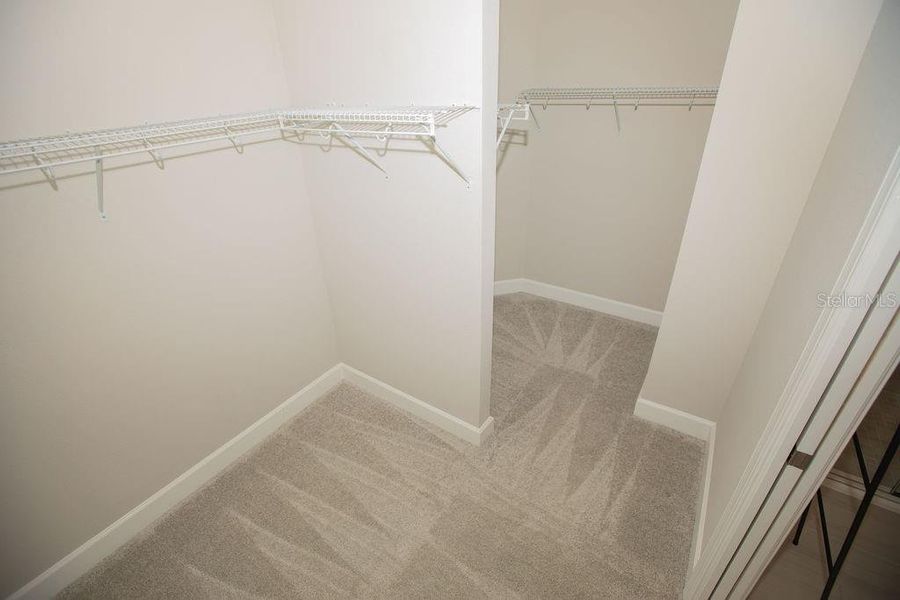 Spacious, unfurnished interior of a new home in , Wesley Chapel (Image 17).