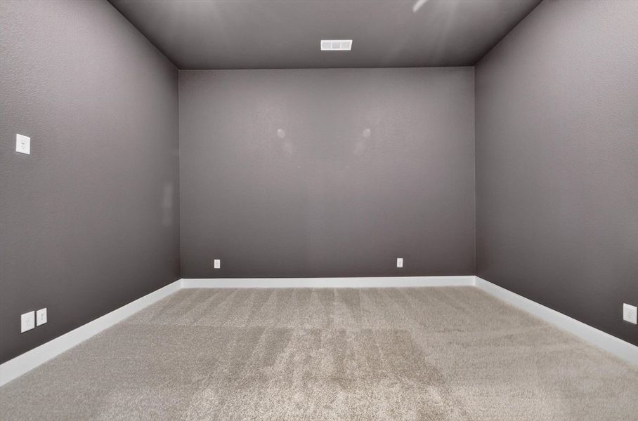 Entertainment Room