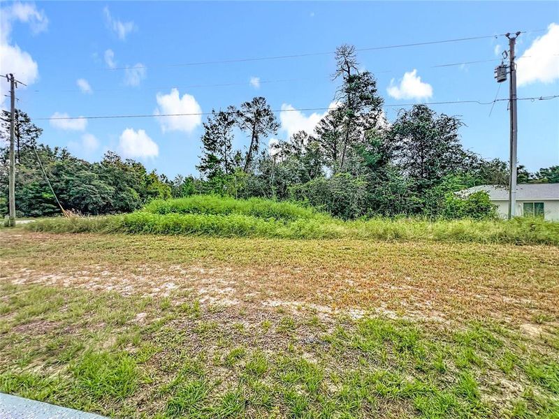 Natural landscape and outdoor views near  in Ocala (Image 35).
