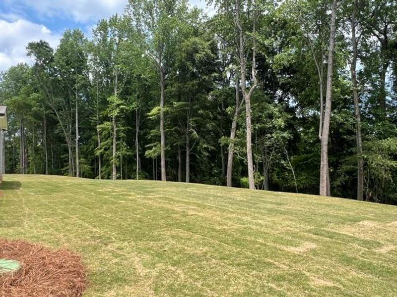 Natural landscape and outdoor views near  in Buford (Image 19).