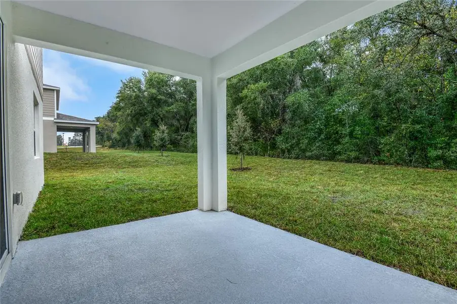 Exterior details and patio area of a home in Seasons at Wekiva Ridge, Mount Dora (Image 3). Exterior details and patio area of a home in Seasons at Wekiva Ridge, Mount Dora (Image 3).