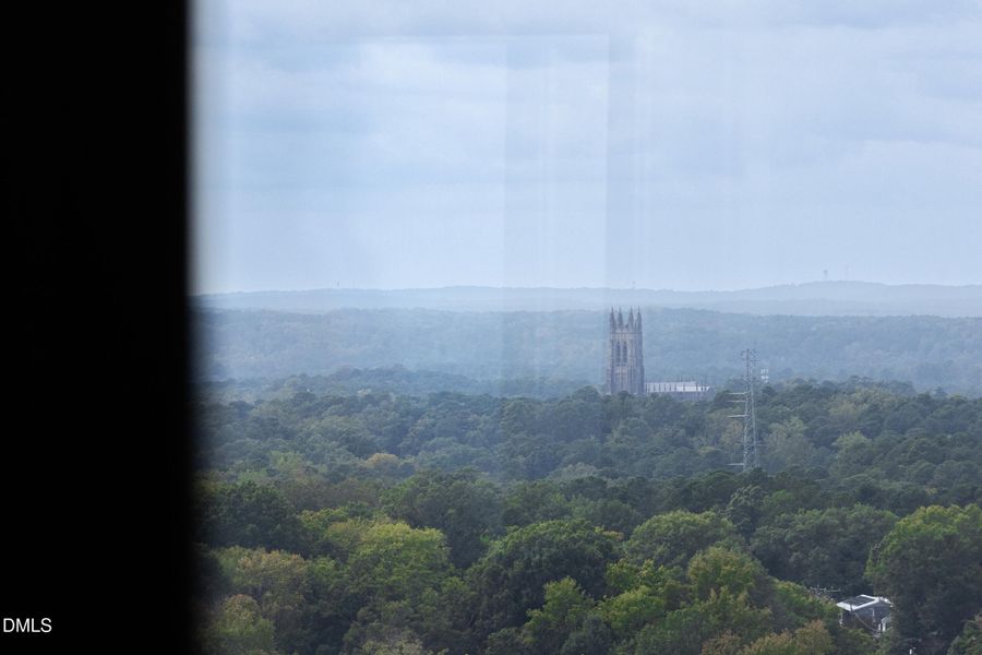 Novus_2_MLS-31 Novus_2_MLS-31