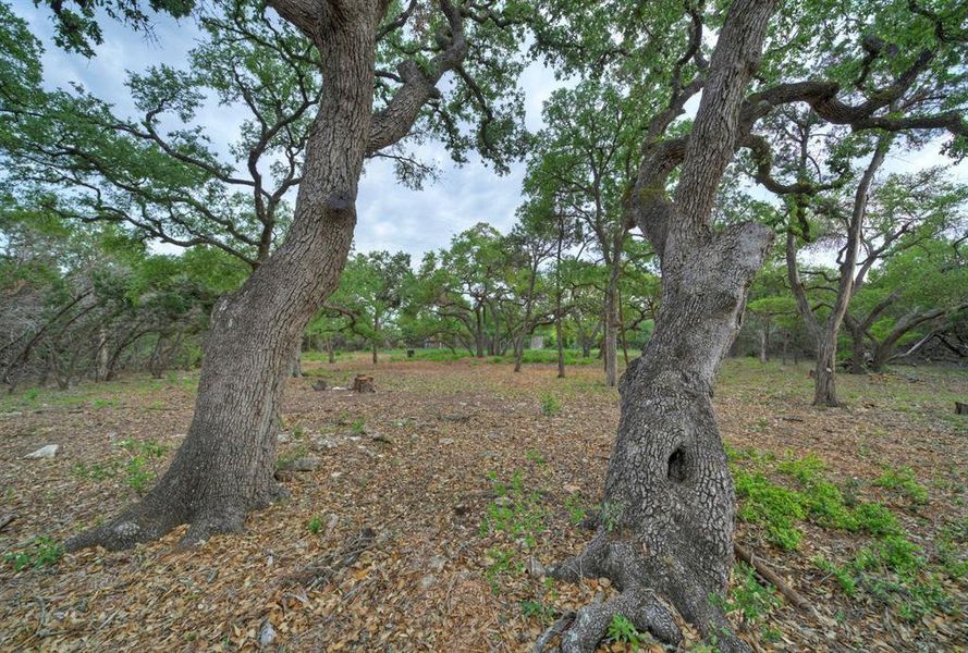 Natural landscape and outdoor views near in Austin (Image 23). Natural landscape and outdoor views near in Austin (Image 23).