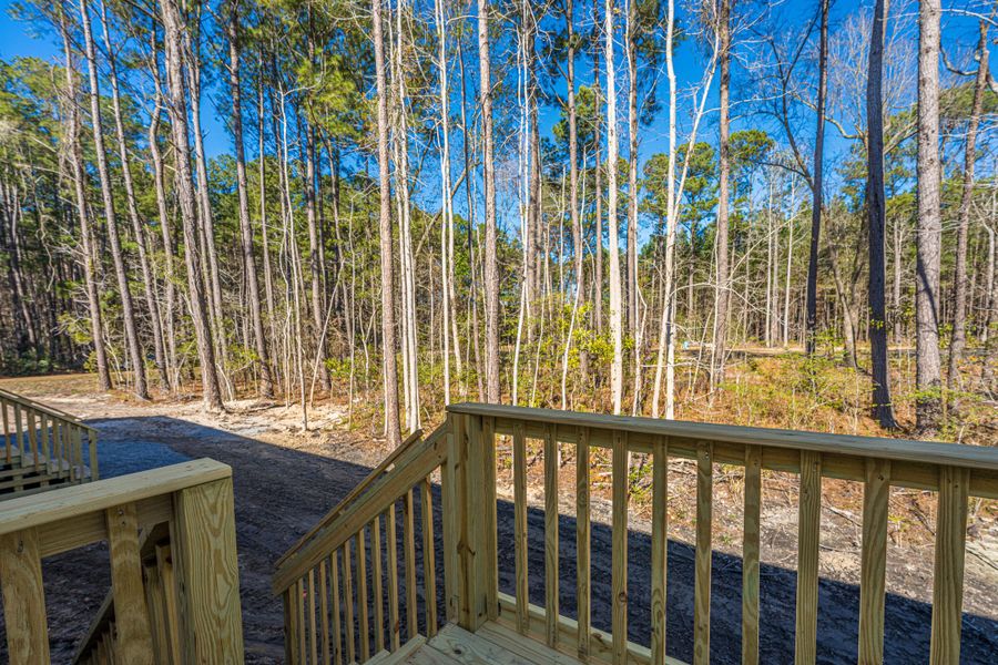 Natural landscape and outdoor views near  in Summerville (Image 50).