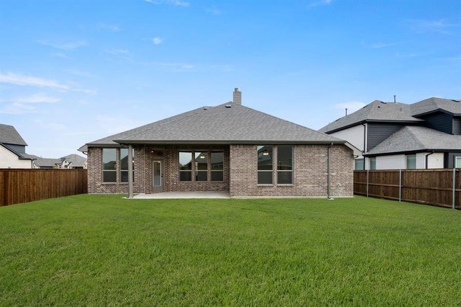 7725 Sweet Sorghum- Back-2