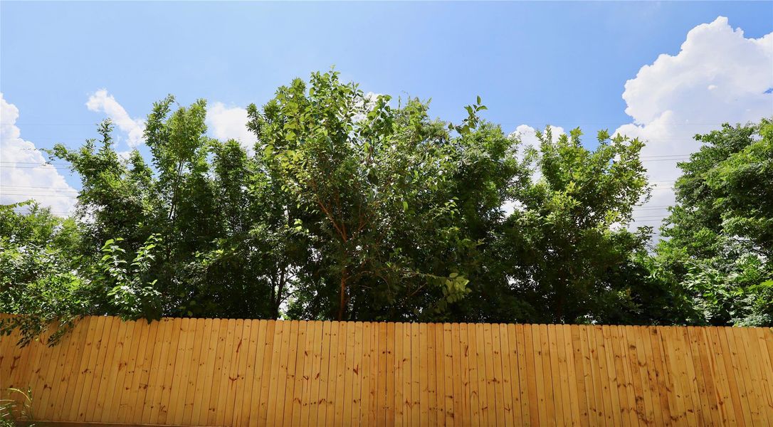 Rear fence in summer is lush and private. *taken during construction* Rear fence in summer is lush and private. *taken during construction*
