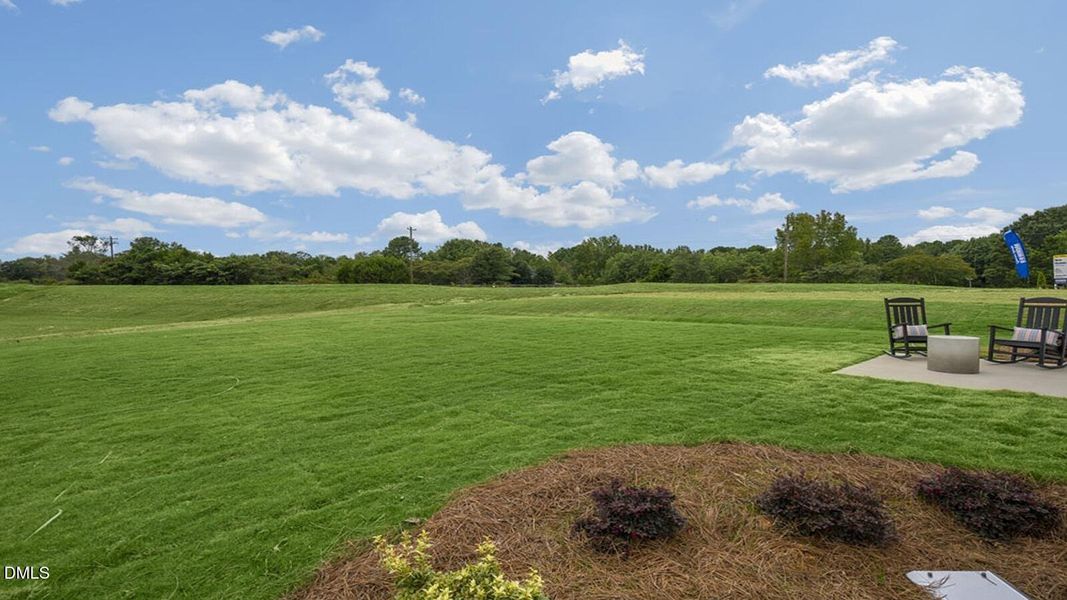 olive-branch-model-038