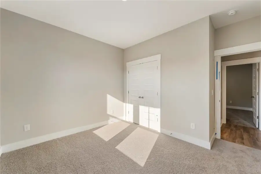 Comfortable carpet flooring creates a soft foundat