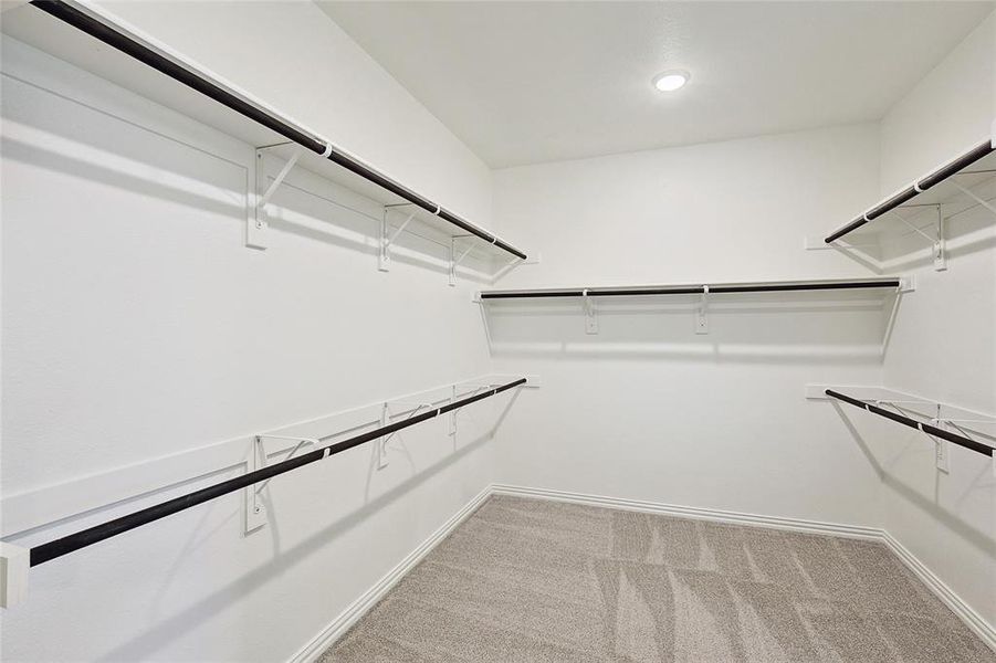 Spacious closet with carpet flooring