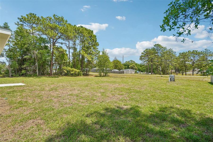 Natural landscape and outdoor views near  in Ocala (Image 29).