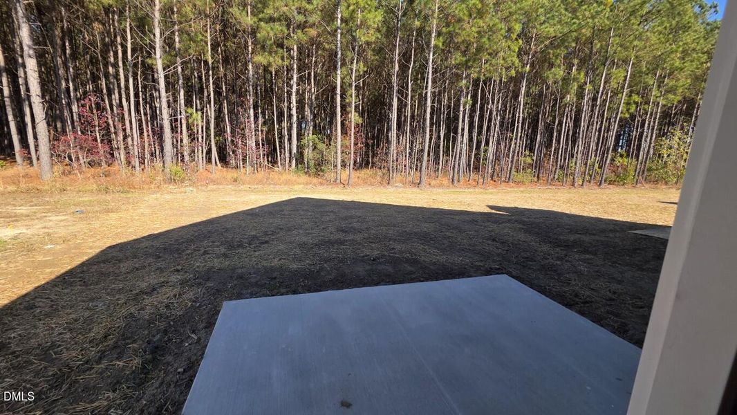 Lot 154 Surrey (8) (Medium)