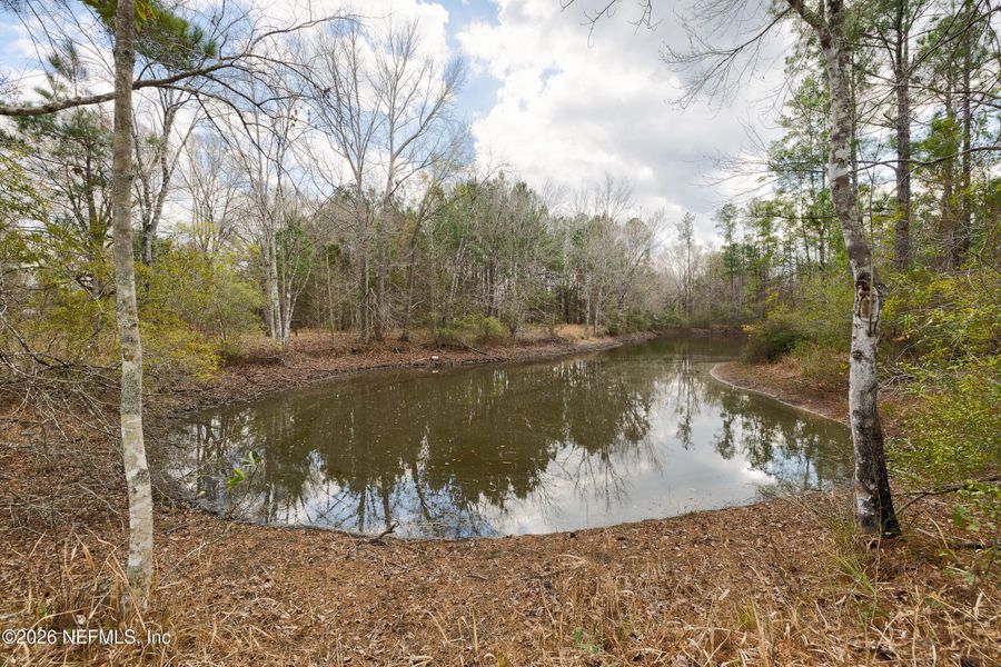 Natural landscape and outdoor views near  in Jacksonville (Image 72).