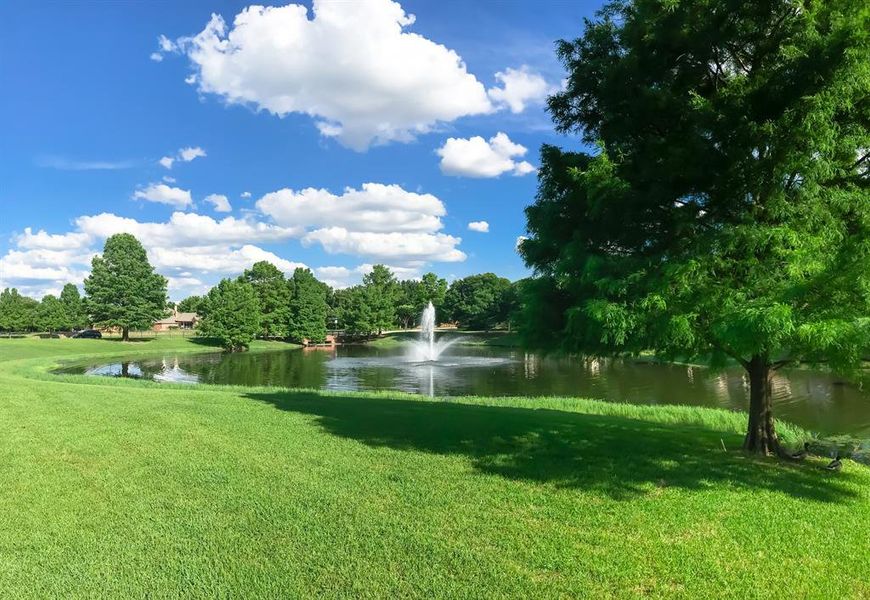 Community Pond